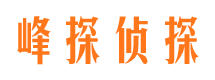 振兴外遇出轨调查取证